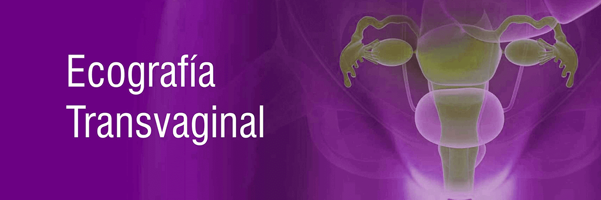 Ecografia transvaginal en Cucuta